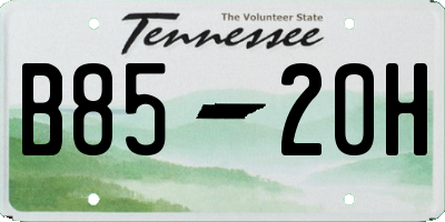 TN license plate B8520H
