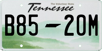 TN license plate B8520M
