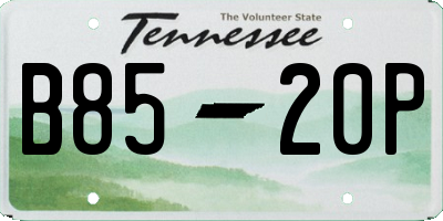 TN license plate B8520P