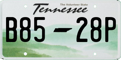 TN license plate B8528P