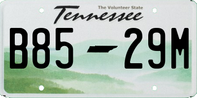 TN license plate B8529M