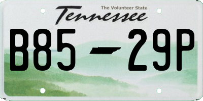 TN license plate B8529P