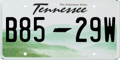 TN license plate B8529W