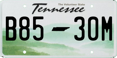 TN license plate B8530M