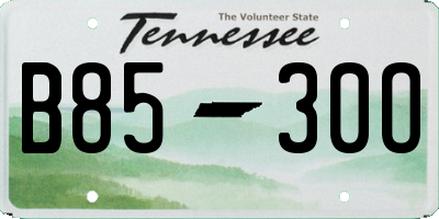 TN license plate B8530O