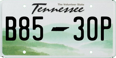 TN license plate B8530P