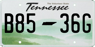 TN license plate B8536G