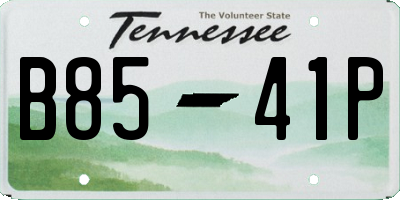 TN license plate B8541P