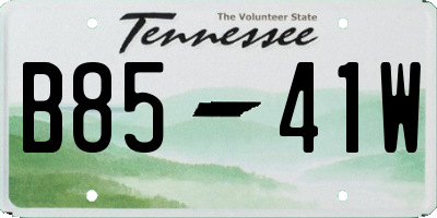 TN license plate B8541W