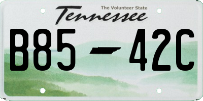 TN license plate B8542C