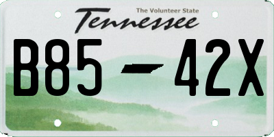 TN license plate B8542X
