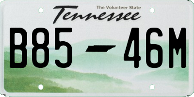 TN license plate B8546M