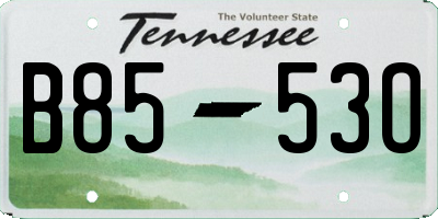 TN license plate B8553O