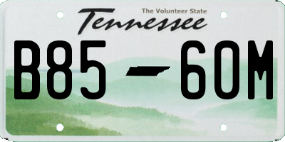 TN license plate B8560M