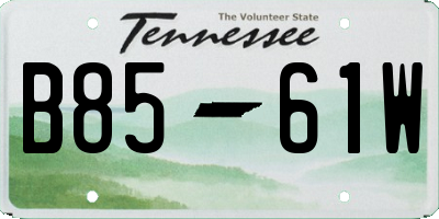 TN license plate B8561W