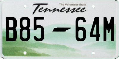 TN license plate B8564M