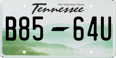 TN license plate B8564U