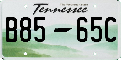 TN license plate B8565C