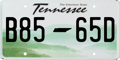 TN license plate B8565D