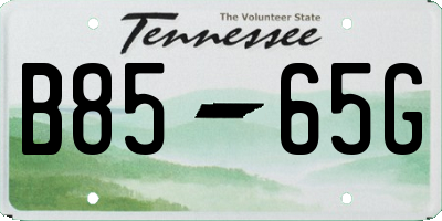 TN license plate B8565G