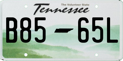 TN license plate B8565L