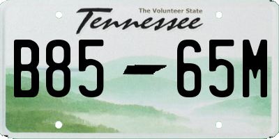 TN license plate B8565M