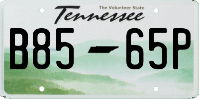 TN license plate B8565P