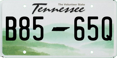 TN license plate B8565Q