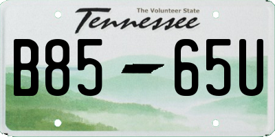 TN license plate B8565U