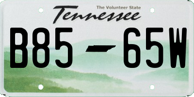 TN license plate B8565W