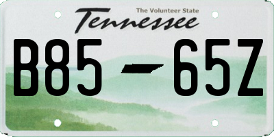 TN license plate B8565Z