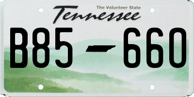 TN license plate B8566O
