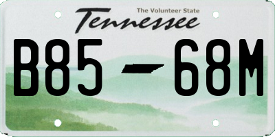 TN license plate B8568M