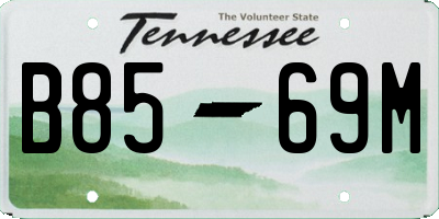 TN license plate B8569M