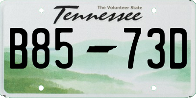 TN license plate B8573D