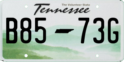 TN license plate B8573G
