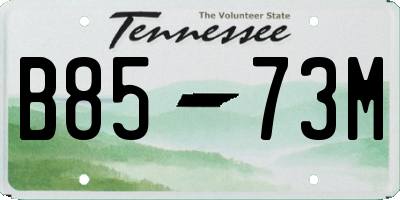 TN license plate B8573M