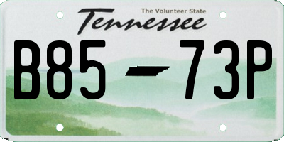TN license plate B8573P