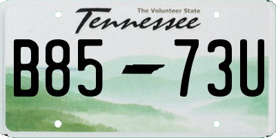 TN license plate B8573U