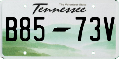 TN license plate B8573V