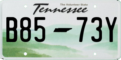 TN license plate B8573Y