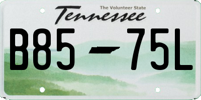 TN license plate B8575L