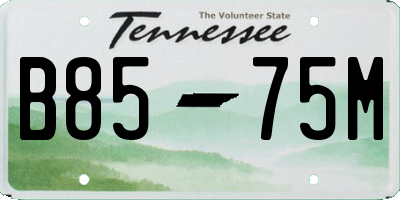 TN license plate B8575M