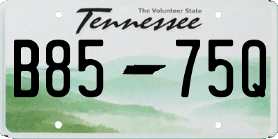 TN license plate B8575Q
