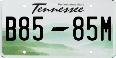 TN license plate B8585M