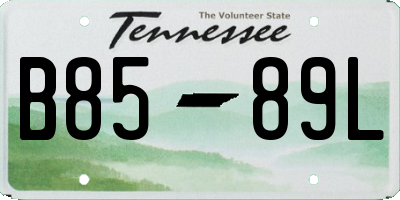 TN license plate B8589L