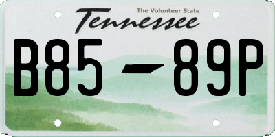 TN license plate B8589P