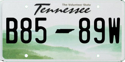 TN license plate B8589W