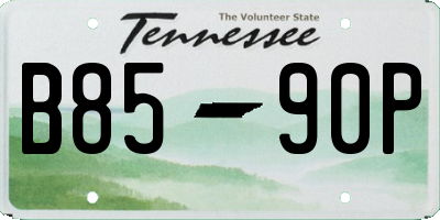 TN license plate B8590P