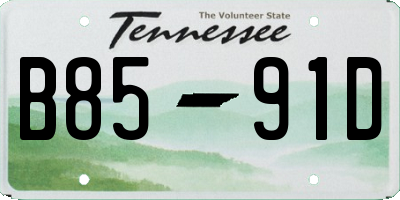TN license plate B8591D